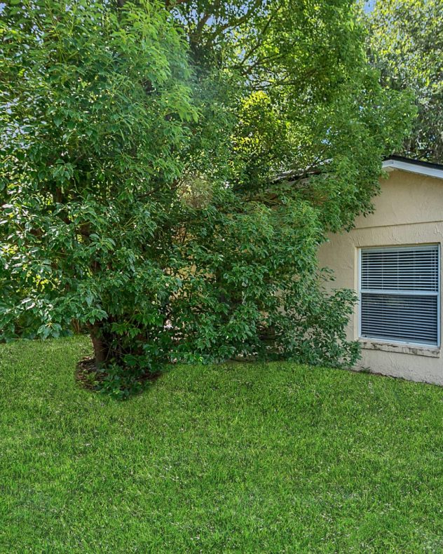 022_trevisuality_4018_august_court-22_878